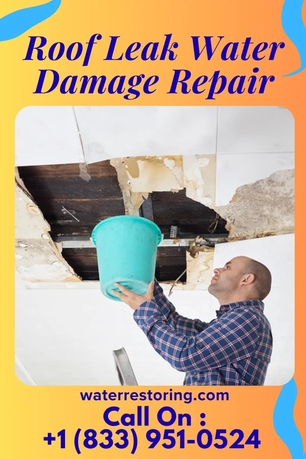 Roof Leak Water Damage Repair in Sylvan Grove, KS